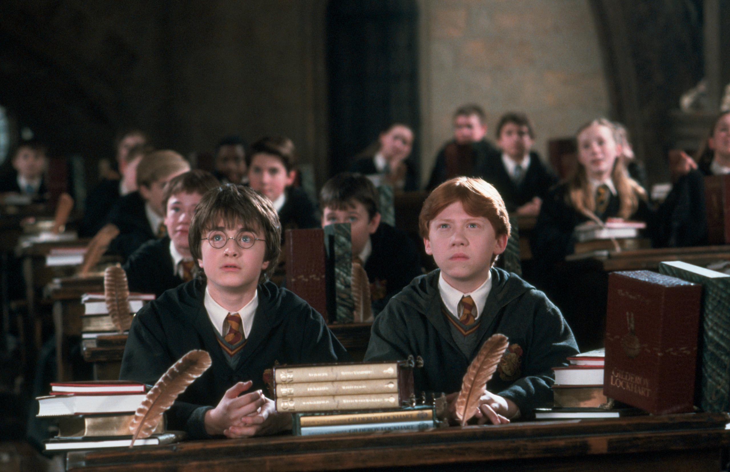 WB F1  HarryPotterRonWeasley HarryAndRonInClasWithQuills 3143